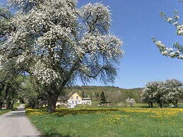 Gaienhofen Comfortable Holiday Residence