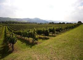 Holiday Home in Brisighella With Garden