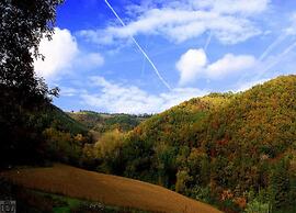 Holiday Home in Brisighella With Garden