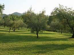 Holiday Home in Brisighella With Garden