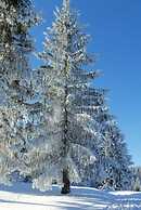 Holiday Apartment Schupp