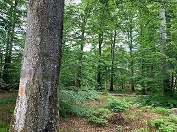 Charming Lakeside Cottage Getaway