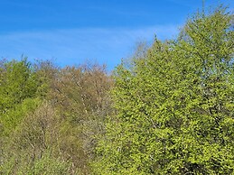 Charming Lakeside Cottage Getaway