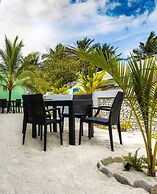 Blue Coral Vashafaru