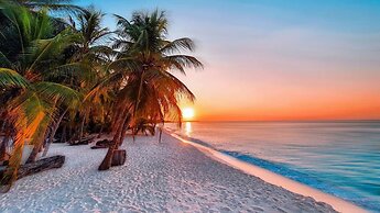 Blue Coral Vashafaru