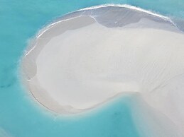 Blue Coral Vashafaru