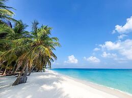 Blue Coral Vashafaru