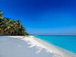 Blue Coral Vashafaru