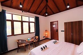 Blue Coral Vashafaru