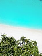 Blue Coral Vashafaru