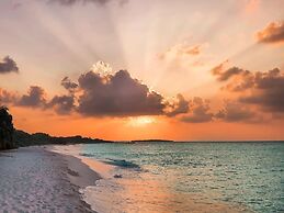 Blue Coral Vashafaru