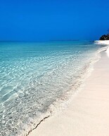 Blue Coral Vashafaru