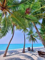 Blue Coral Vashafaru