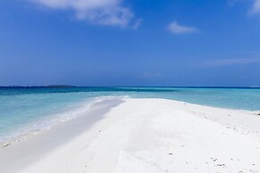 Blue Coral Vashafaru