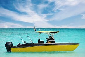 Blue Coral Vashafaru