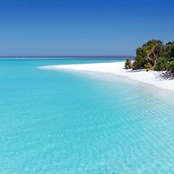 Blue Coral Vashafaru