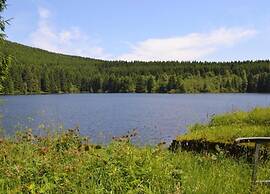 Enchanting Holiday Flat in the Harz Mountains