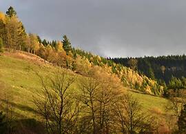 Enchanting Holiday Flat in the Harz Mountains