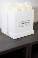 Designer Apartment Hyper Central