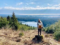 Panoramic View of Lake Harz