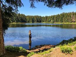 Panoramic View of Lake Harz