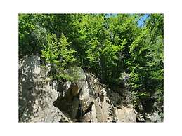 Panoramic View of Lake Harz
