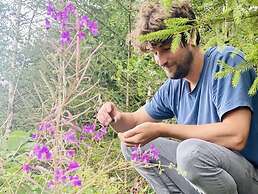 Panoramic View of Lake Harz