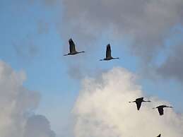 Uitzicht op de Kraanvogel