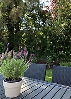 Small Break in Salzhausen