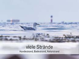 Northern Lights Modern Retreat