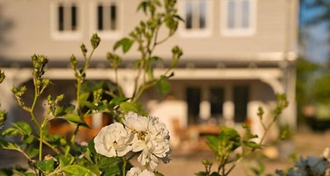 Northern Lights Modern Retreat