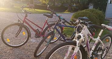 Northern Lights Modern Retreat