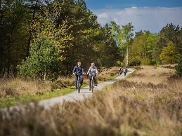 Modern Holiday Home Near Veluwe