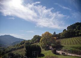 Villa in Umbria With Private Saltwater Pool