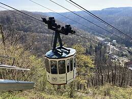 Summit Happiness at the Purple Beech