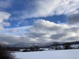 Summit Happiness at the Purple Beech