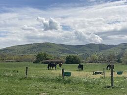 Summit Happiness at the Purple Beech