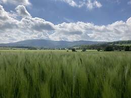 Summit Happiness at the Purple Beech