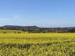 Summit Happiness at the Purple Beech