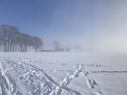 Summit Happiness at the Purple Beech