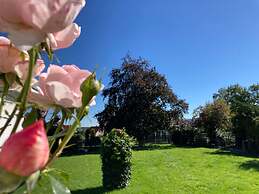 Summit Happiness at the Purple Beech