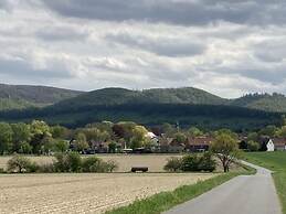 Summit Happiness at the Purple Beech