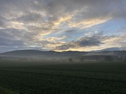 Summit Happiness at the Purple Beech