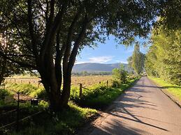 Summit Happiness at the Purple Beech