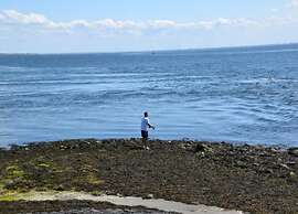 Nice Holiday Home in Scherpenisse With Terrace