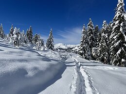 Exclusive Chalet With Sauna and Glacier View