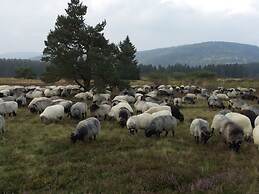 Modern Retreat by the Lake