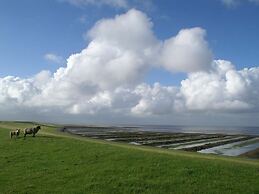 Watt's Happiness Close to the Beach