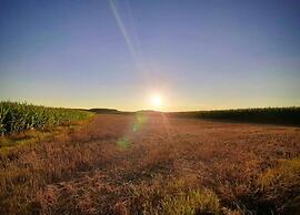 Altmuhltal Apartment Beilngries With Terrace