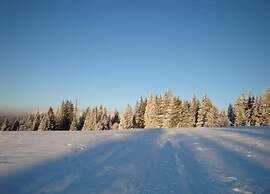 Altmuhltal Apartment Beilngries With Terrace